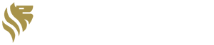 Logo Lavvi